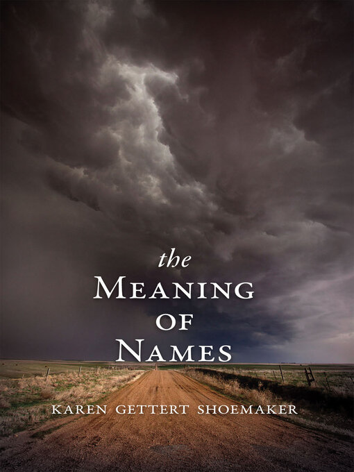 Title details for The Meaning of Names by Karen Gettert Shoemaker - Wait list